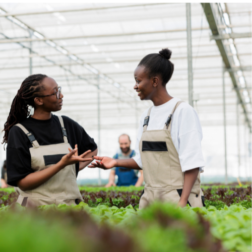 Retaining Customers in a Tough Economy: Loyalty Over Discounts
